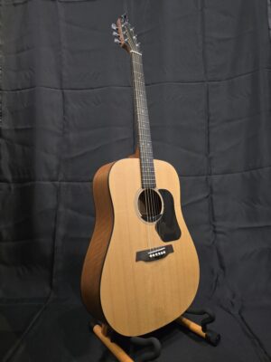 Walden Hawthorne Addstring Akoestische Dreadnought Gitaar met Dubbele G-snaar