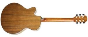 AriaTG1Nat-1