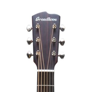Breedlove-Pursuit-Dr2