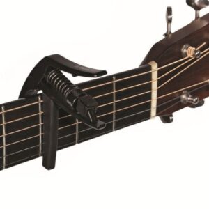 DAddarioWestern1