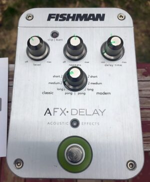 FishmanAFXDelayB
