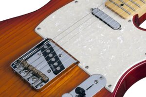 PT Standard.Aged Cherry Burst (ACB).03