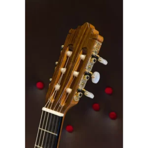 Paco Castillo 234TE Head