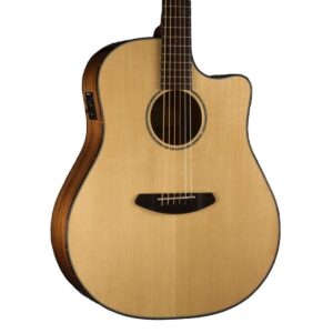 breedlove_pursuit_dr3
