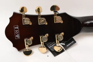 ibanez-ss300-dvs-dark-violin-sunburst_3