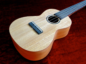 tanglewood-tu-3-body-beauty-2