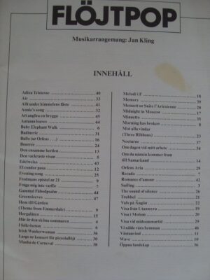 flöjtpop 2