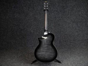 Ibanez AEWC400-TKS 3
