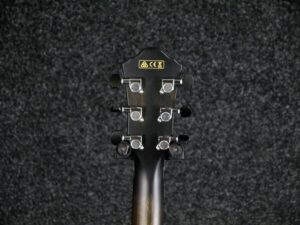 Ibanez AEWC400-TKS 6