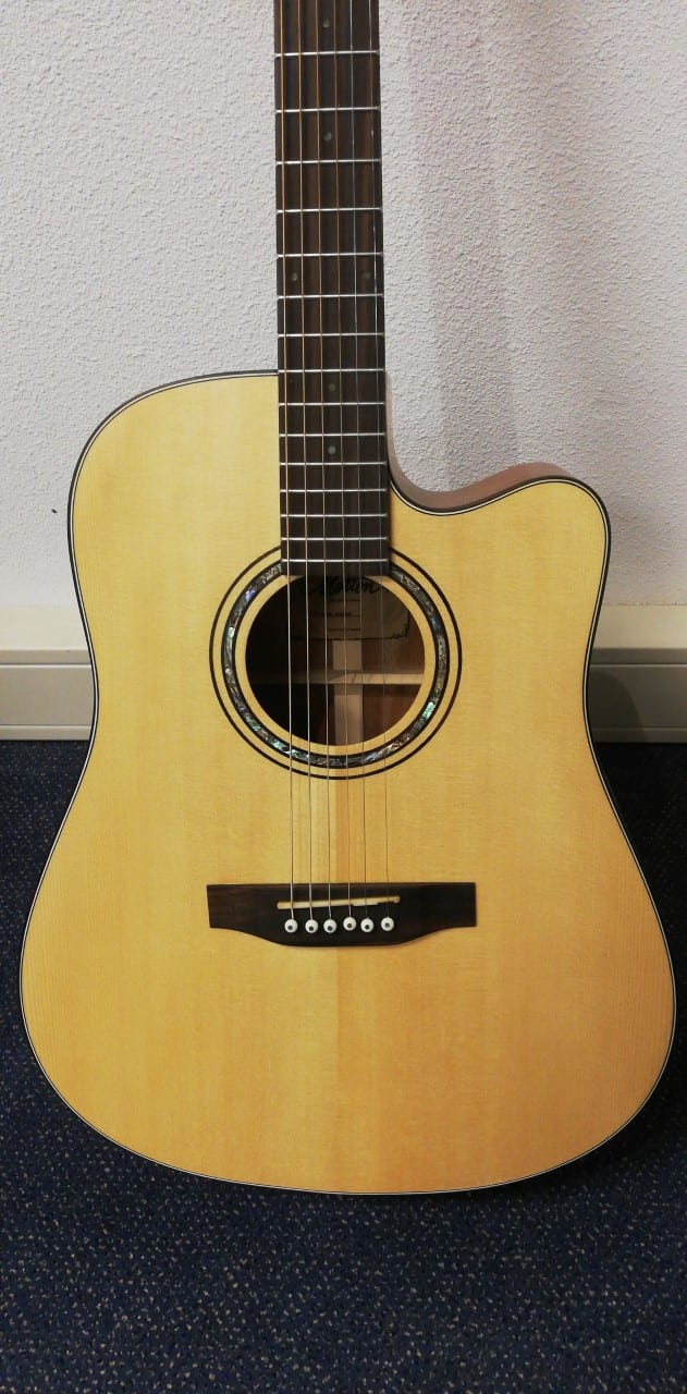 identificatie Kenia boekje Motion 1005 SM Dreadnought Gitaar - Timmer Muziek Beverwijk