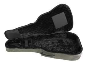 CGS-765_Salvador-Cortez-4