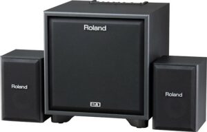 Roland CM-220 CUBE 2.1 Monitor Systeem