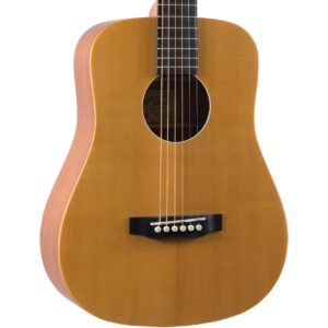 RecordingKing_TravelMini2