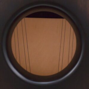 NativoXBassCajonRoot5