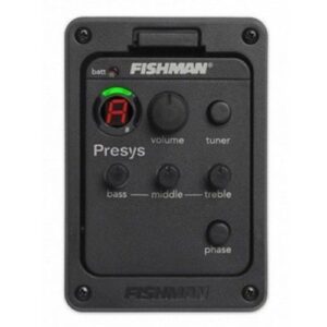FishmanPresys1