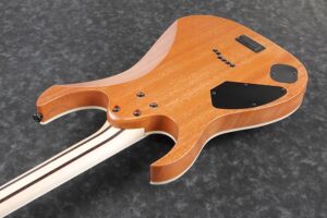 p_region_RG5121_DBF_00_02_sub_2