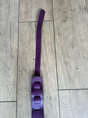 LakePlacidGuitarsPurplestrap2