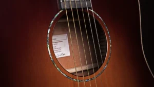 timmergeneral-classic-burst-rosette-e_1_ce66fd20-8d5f-4216-aee2-6e91e2aef6f5