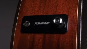 timmergeneral-classic-burst-jack-venus-e_86c59d6e-d363-4500-b4a2-2447c81e14af