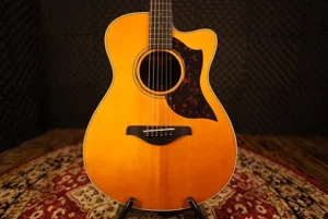 3c5a39_6e113829056e47b086448cc850f41850~mv2