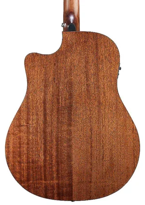 BreedloveDiscoverySunburst2