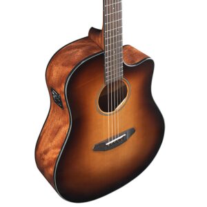 BreedloveDiscoverySunburst3