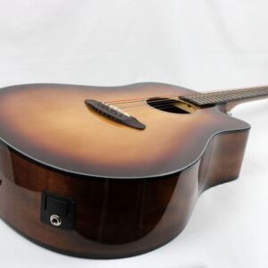 BreedloveDiscoverySunburst6