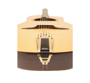 altamira-altamira-m01d-gypsy-gitaar (8)