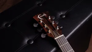 timmergeneral-blue-moon-headstock_1_ddc73cbe-c82e-40bd-afec-2431e1e90ce5