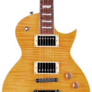 34638_esp_guitars_lec256vn_ESP-LEC256VN-ACCLAIM-DI5