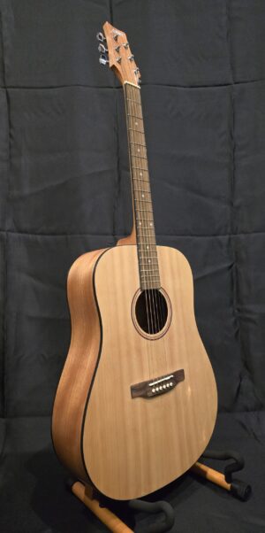 Ashton D20 Dreadnought Akoestische Gitaar