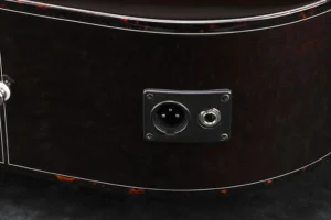 XLR_quarter-inch_output