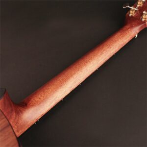 CortMiniJumboCJadirondack6