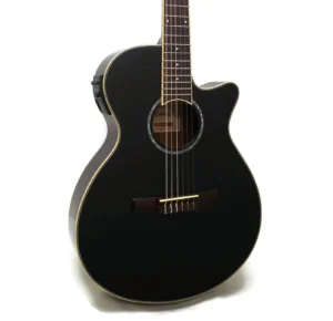 IbanezAEG10blacka