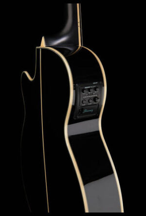 IbanezAEG10blackc