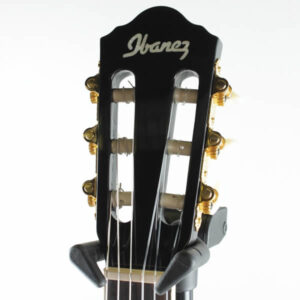 IbanezAEG10blackd