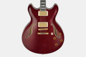 IbanezEKM100wineredaa