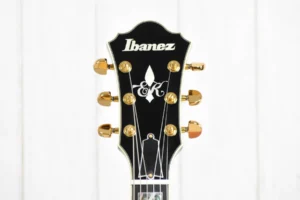 IbanezEKM100wineredc