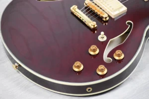 IbanezEKM100winerede