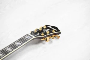 IbanezEKM100wineredi