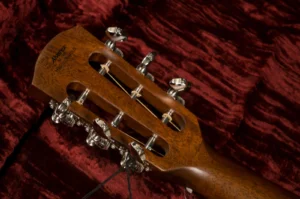 cjn4ikxyozxodrelcx7n