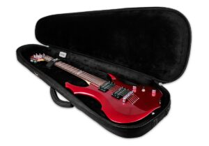 ESP_Premium_Gigbag_G_2