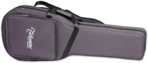 fn15-ar-ltd-dreadnought-cedre-palissandre-rw-hd-4-202063