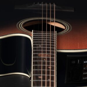 ltd2024-gallery-3_900x