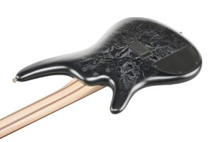 p_region_SR300EDX_BZM_1P_02_sub_2