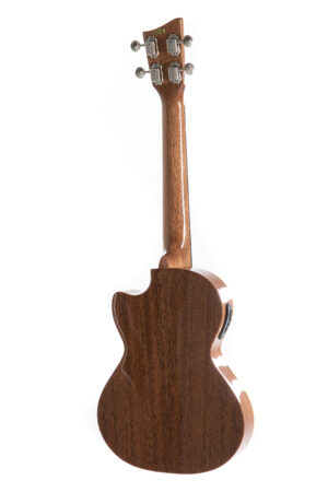 E_A_Tenor_SilverShadow2