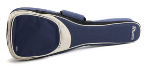 E_A_Tenor_SilverShadow5