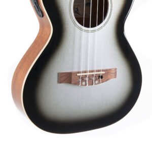 E_A_Tenor_SilverShadow8