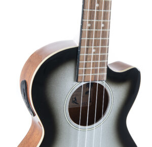 E_A_Tenor_SilverShadow9