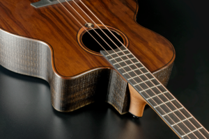 GLA-SAUVAGE-BCE-5-Btimmer